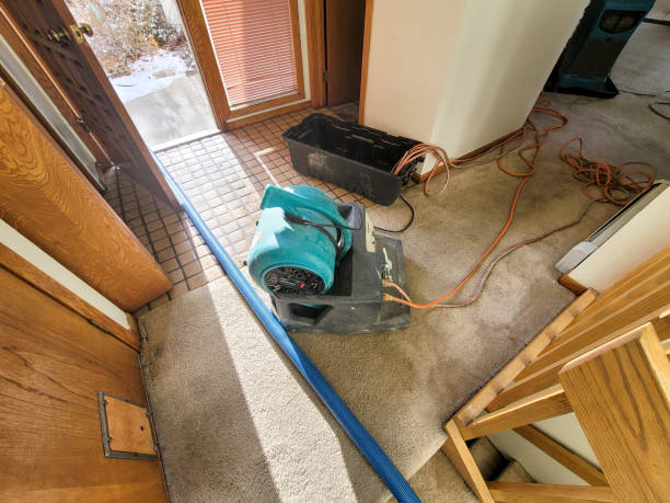 Best Basement water damage restoration  in Troy Hills, NJ