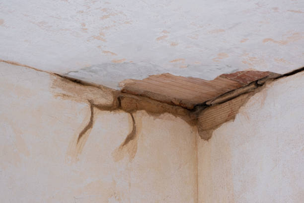 Best Water damage contractors near me  in Troy Hills, NJ